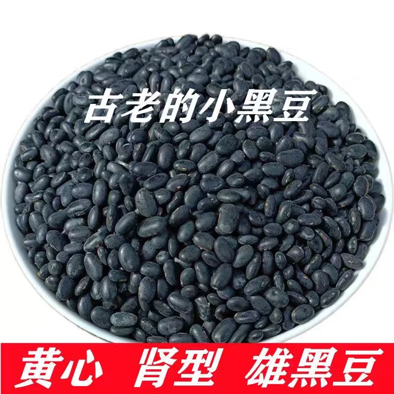 农家新货小黑豆生黑豆正宗老品种黄心小黑豆养生粗粮打豆浆醋泡