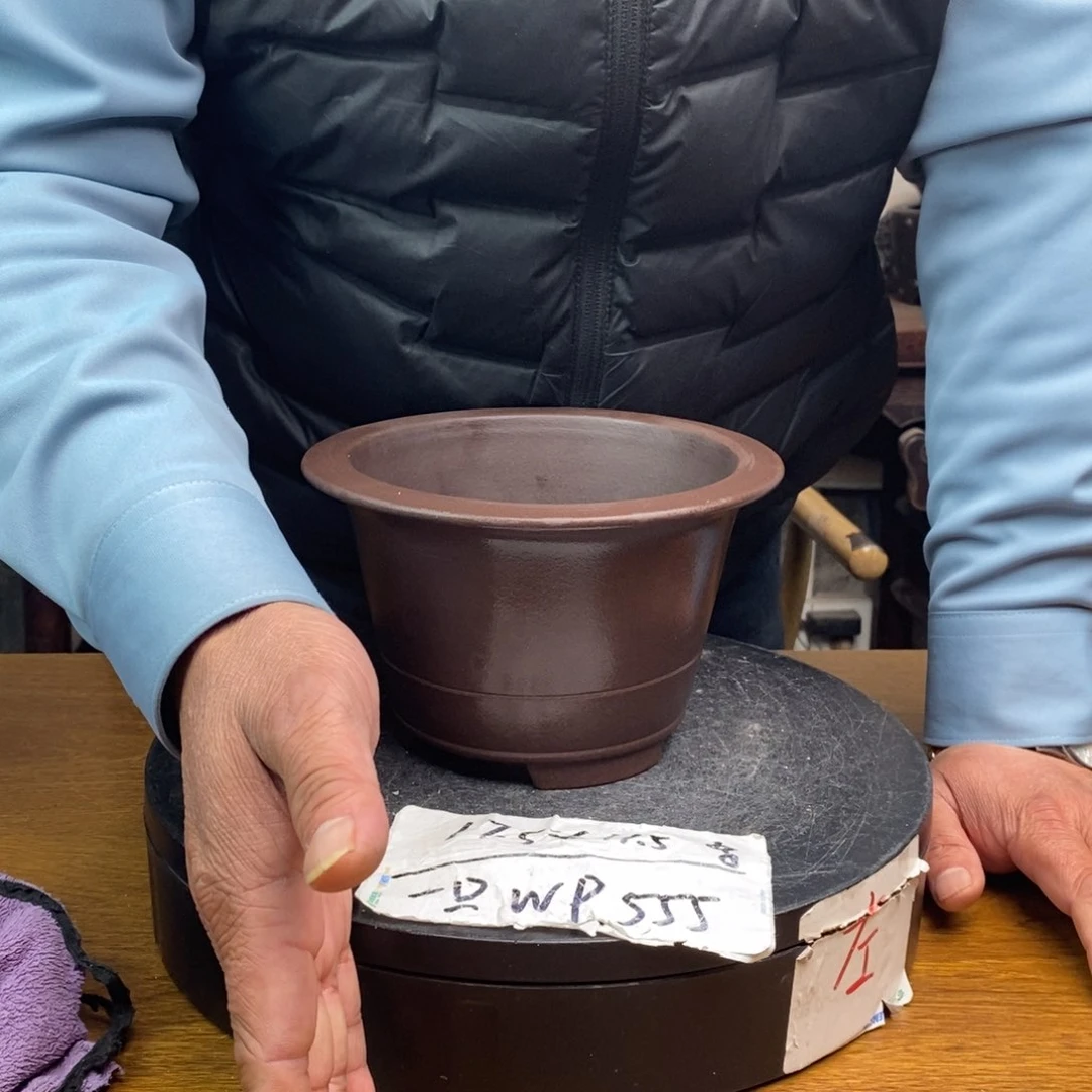 红陶货号一只WP555