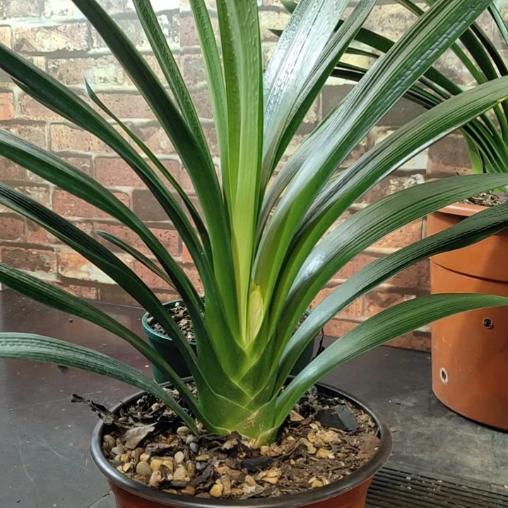 完全开放111111111111