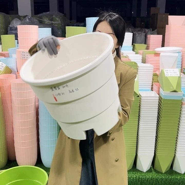 正品蓝莓盆口41高35白色无托3个