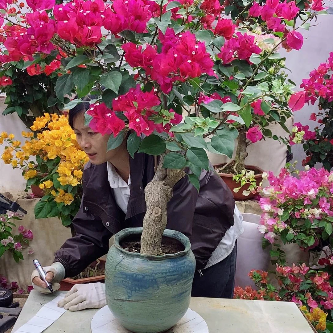 完全开放我要好好学习