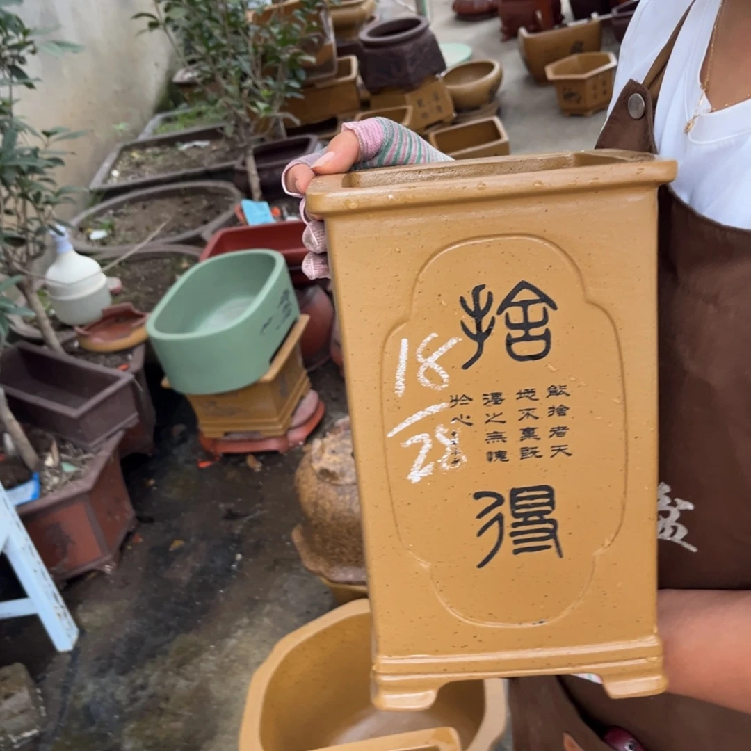 紫砂花盆盆景艺术