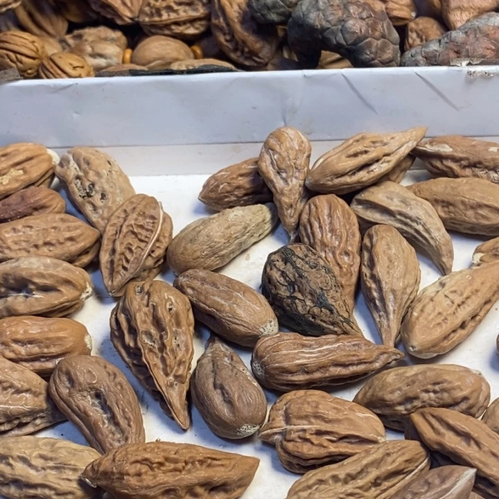 五***州文玩核桃吊坠东北特产9