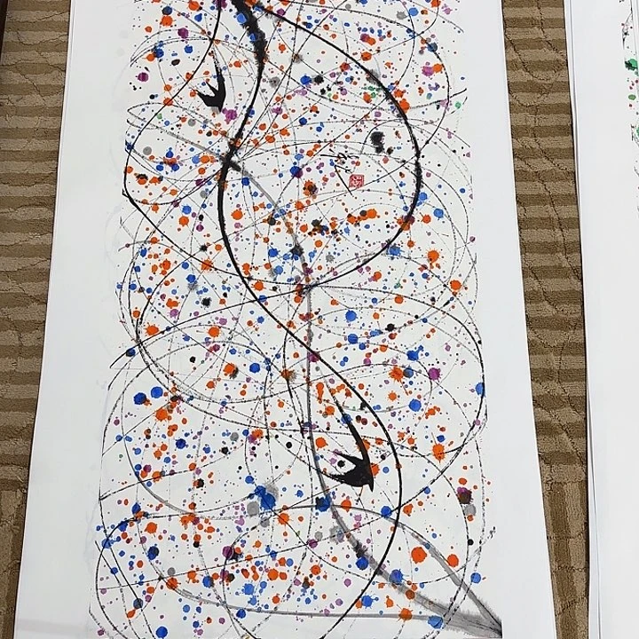 国画坎****龙花鸟等多种鸟类的栖息地