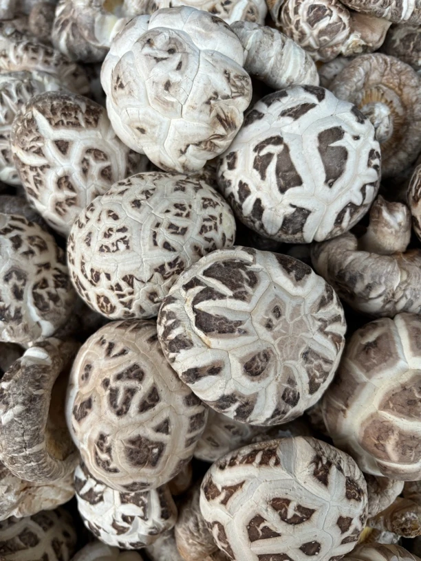 大花菇新货肉厚冬菇湖北随州特产干香菇带脚花菇产地直销无干燥剂