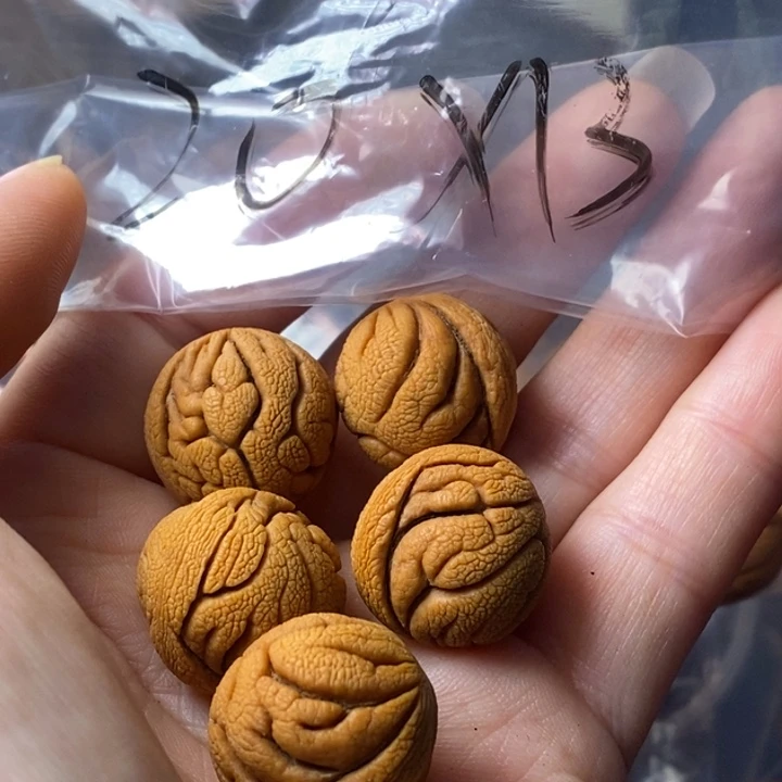 虎****文玩核桃手串秦岭野生龙纹桃核20
