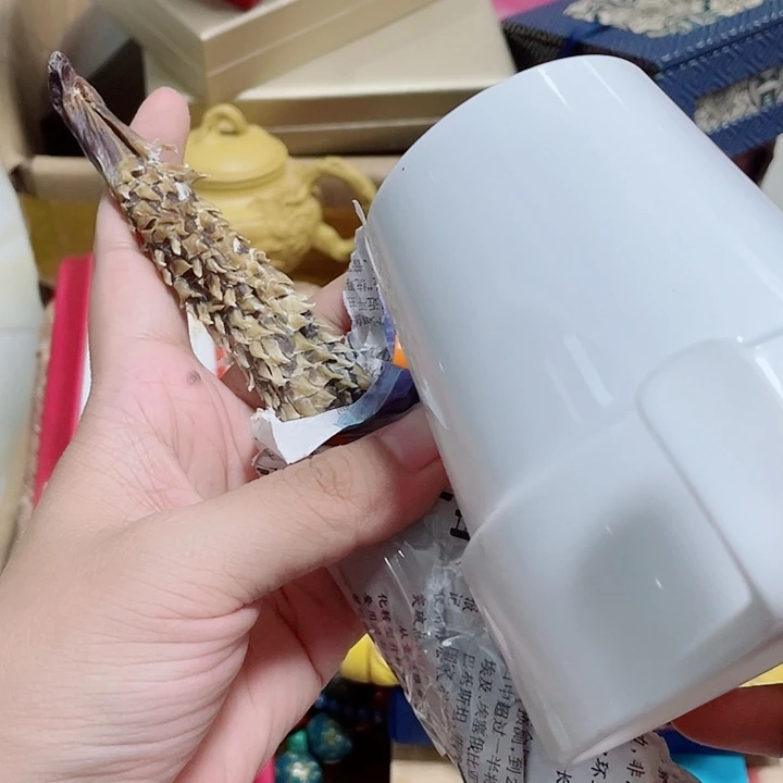 尊***龙啦啦啦咯咯摸摸哦哦