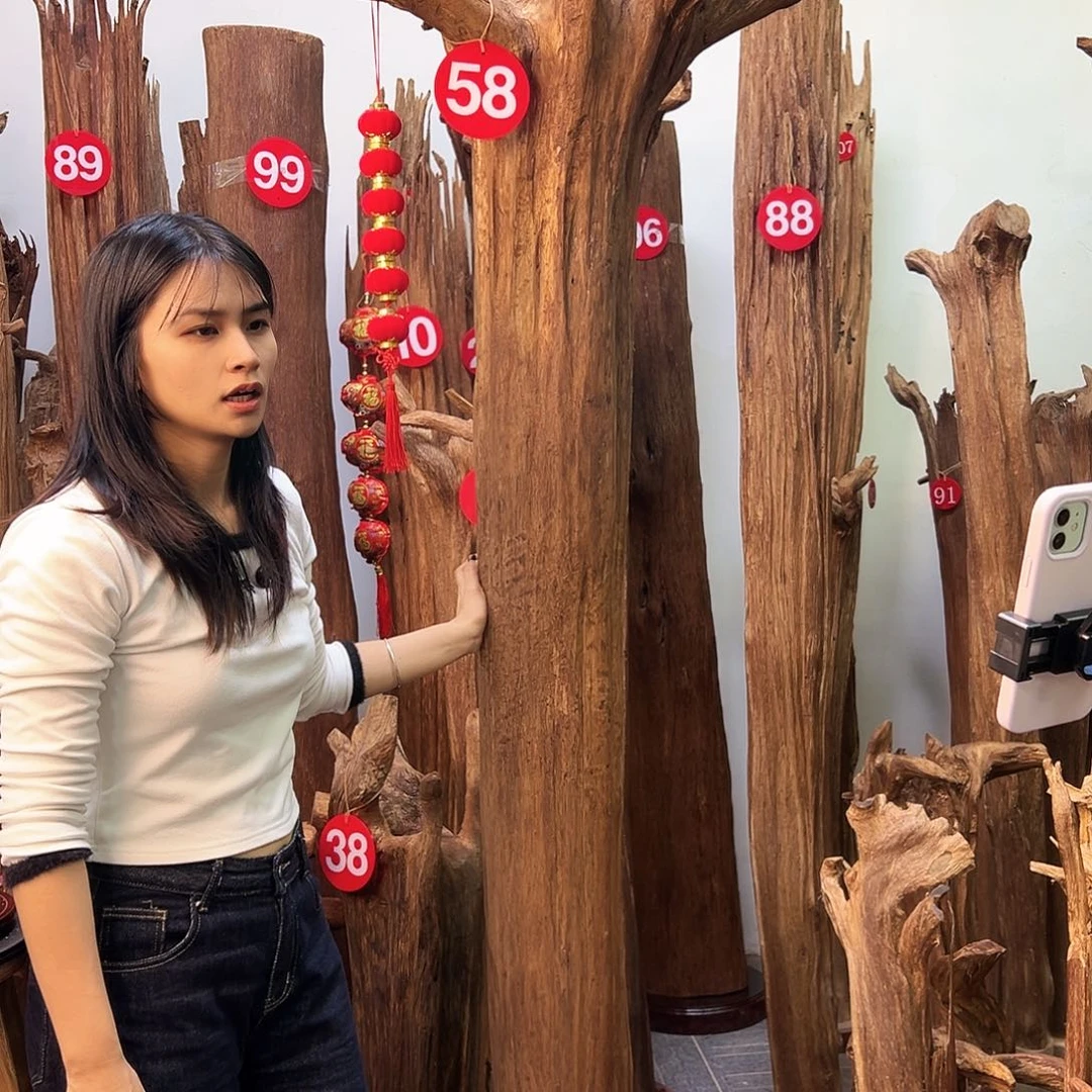 仙***逆沉香摆件天然沉香原材料高品质