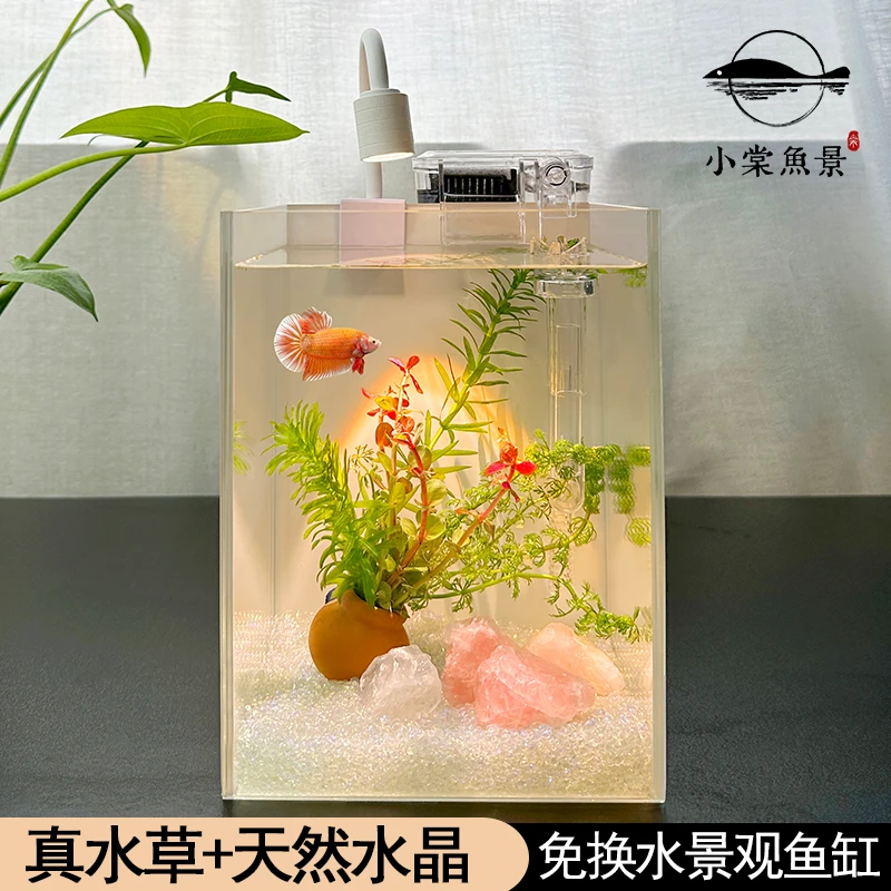 小棠鱼景鱼缸家用小型桌面水晶造景微景观生态缸超白玻璃斗鱼鱼缸