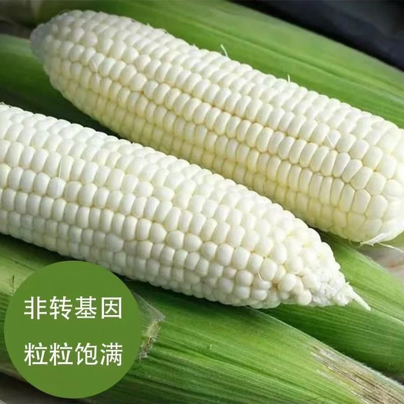 农产品 菜子油 蛋类