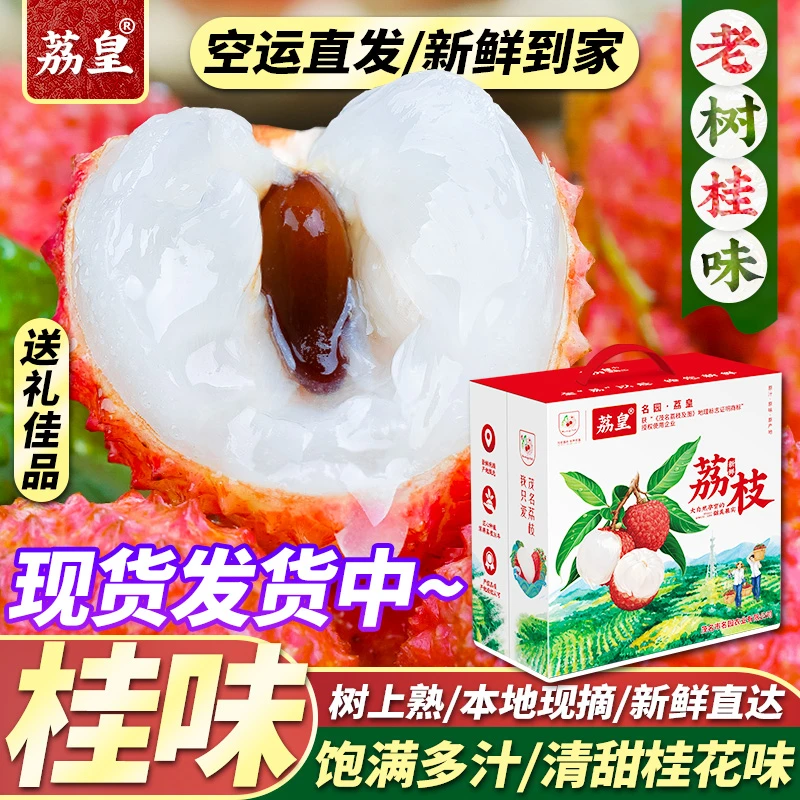 荔皇【空运】【桂味荔枝/升级顺丰】广东茂名高州新鲜现摘送礼水果RM2