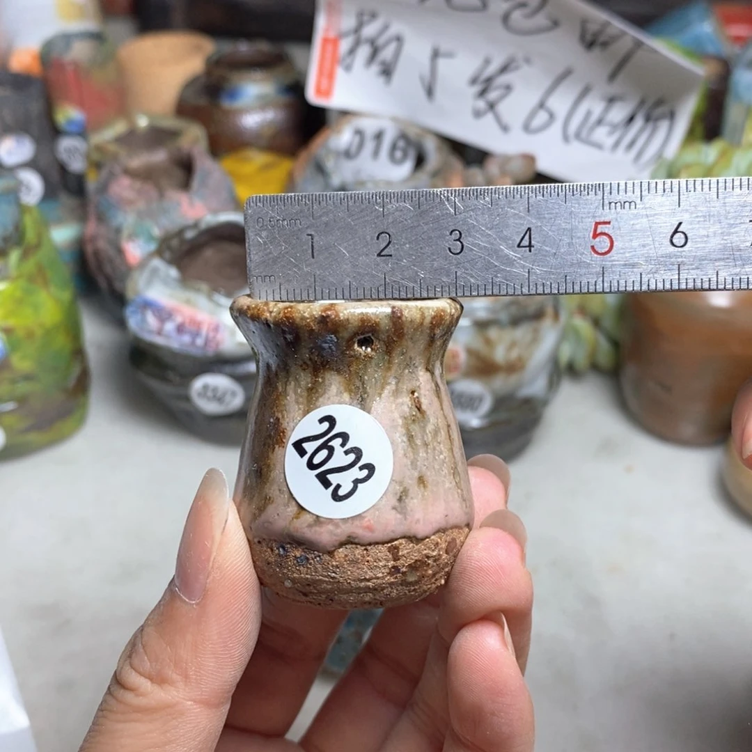 拍5送一个小礼物