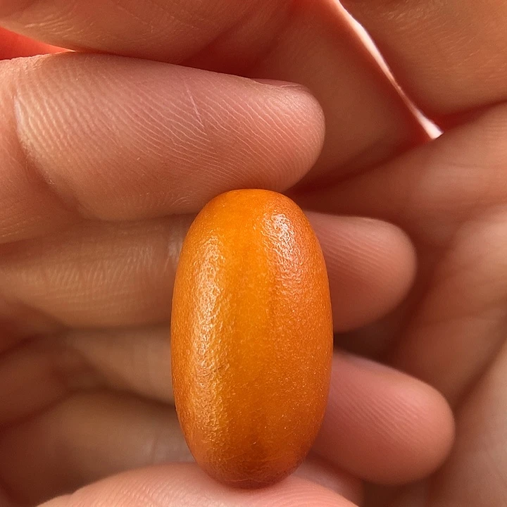 琥珀未镶嵌颈饰70