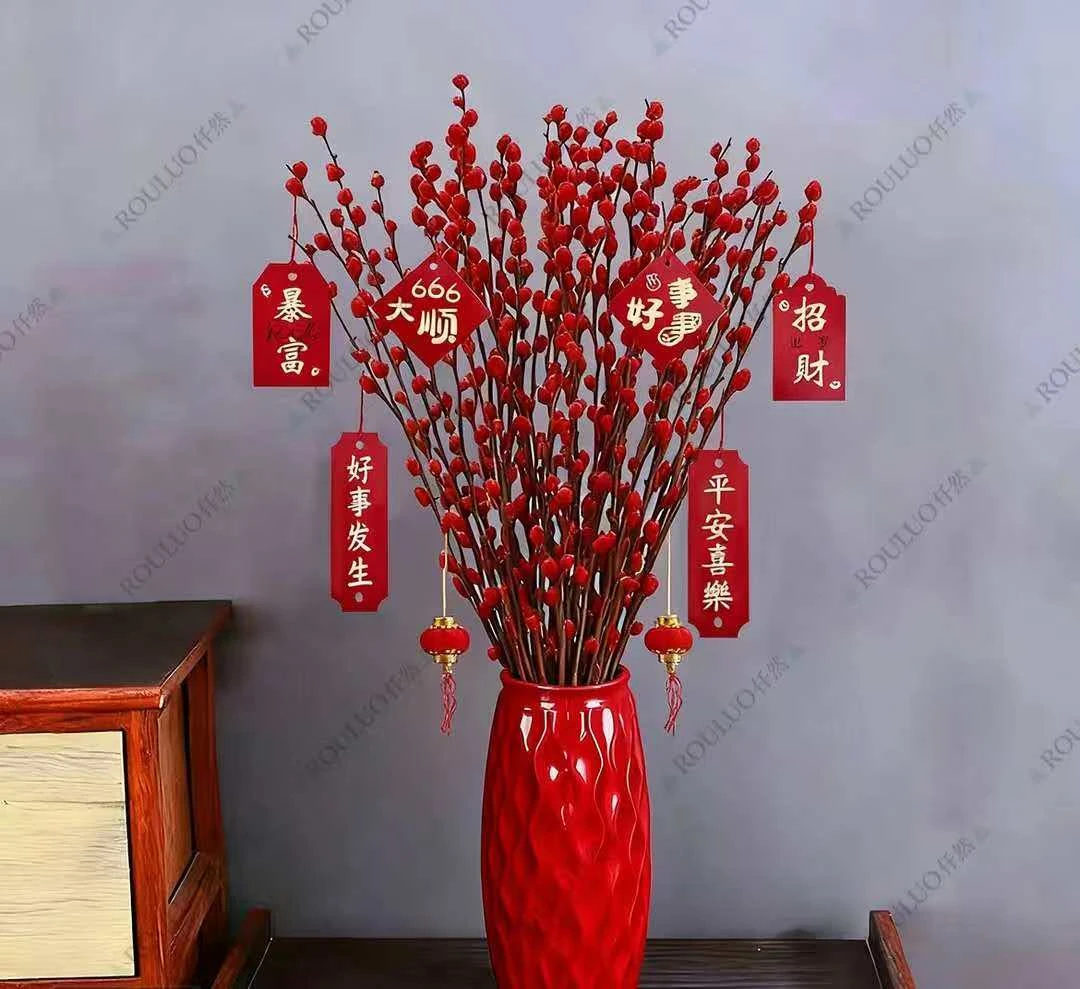 银柳真花鲜枝客厅干花摆件红色年宵花卉绿植水培植物室内干枝红柳