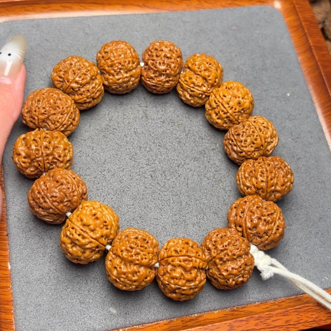 菩提不****高21号尼泊尔大金刚23.5-24六瓣梁