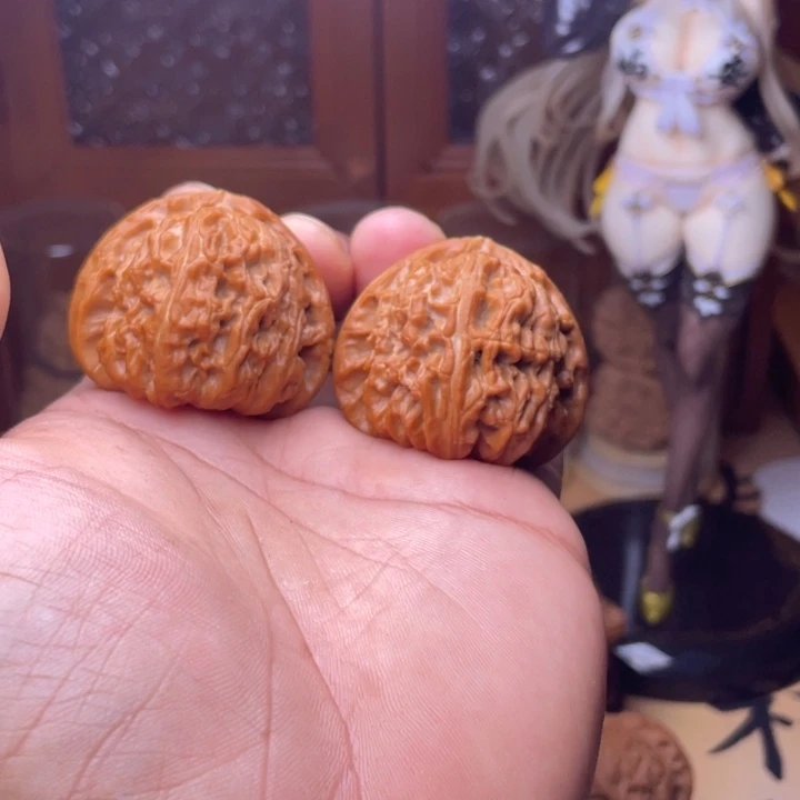 半***涂41.5微修三角白已打底