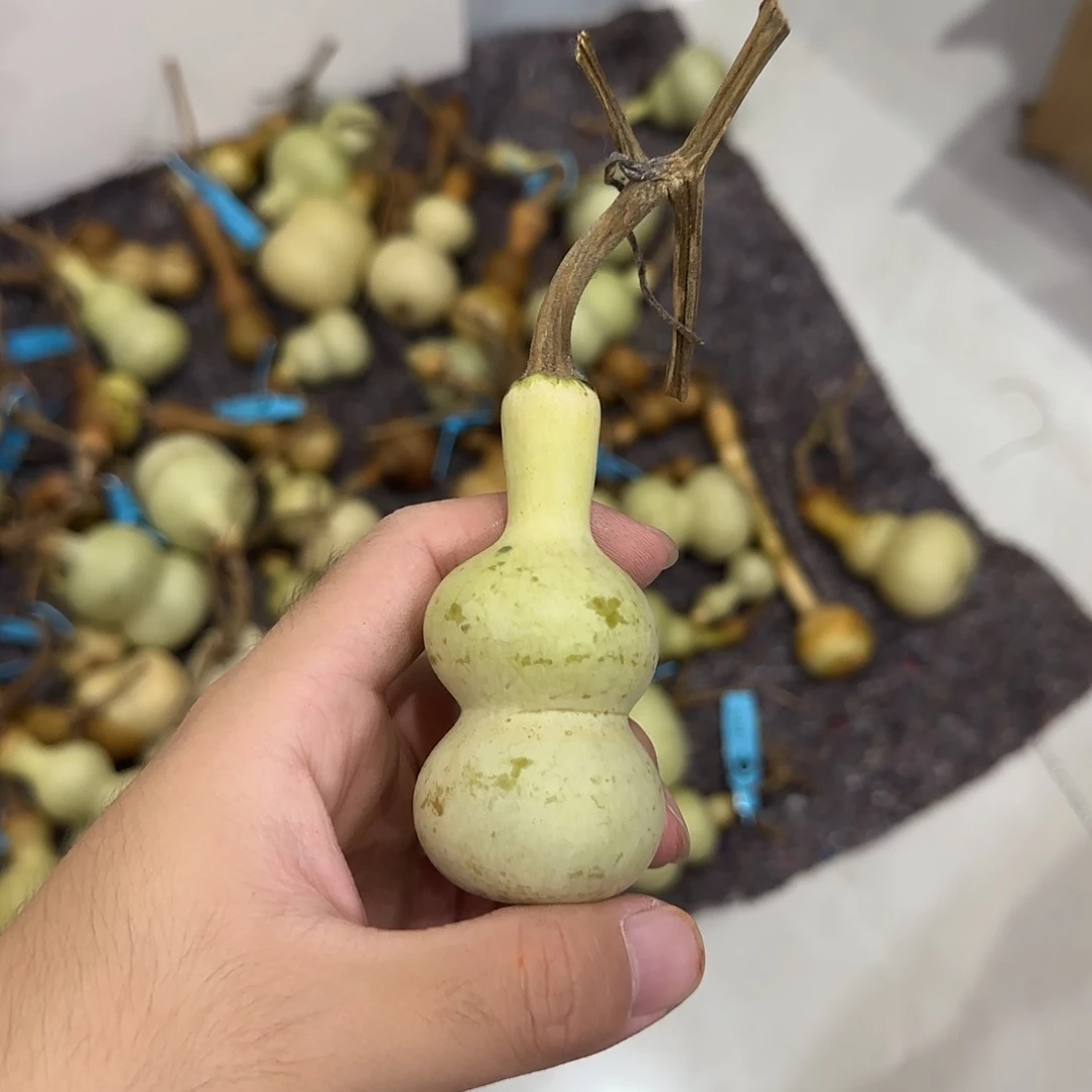 有***余葫芦dndndndnxnxnxn