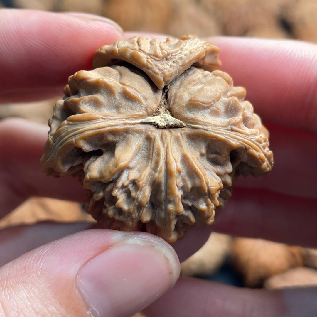 文玩核桃把件39满天星，怀抱子