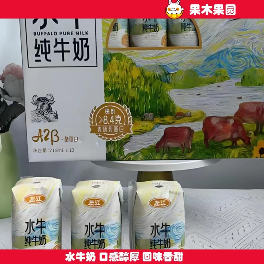 【同城配送】水牛纯奶12瓶/件 口感细腻|回味纯正