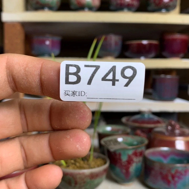 果**冻钧瓷的制作方法和工艺都