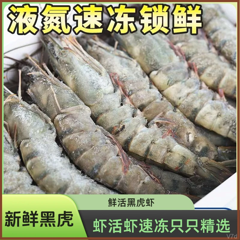 活冻黑虎虾超大虾鲜活速冻九节虾海鲜水产深海捕捞特大海鲜水产品