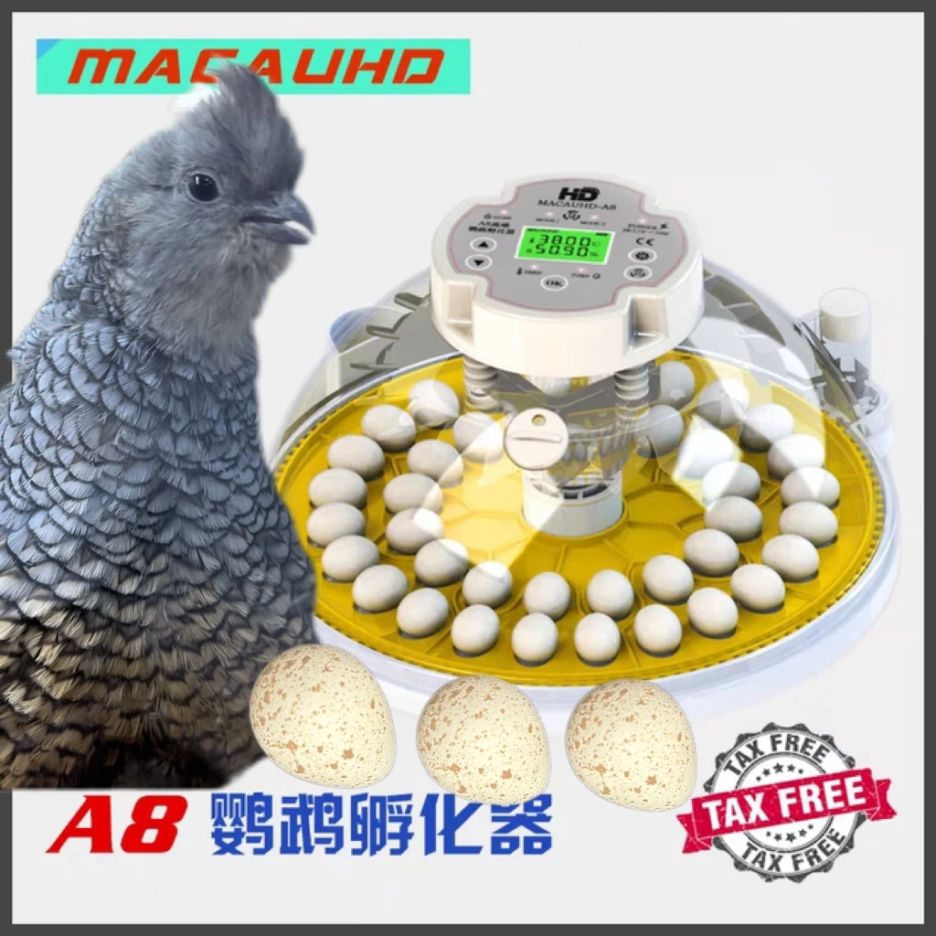 A8全自动高精度家用鹦鹉孵化器柯尔鸭翎鹑恒温孵化器