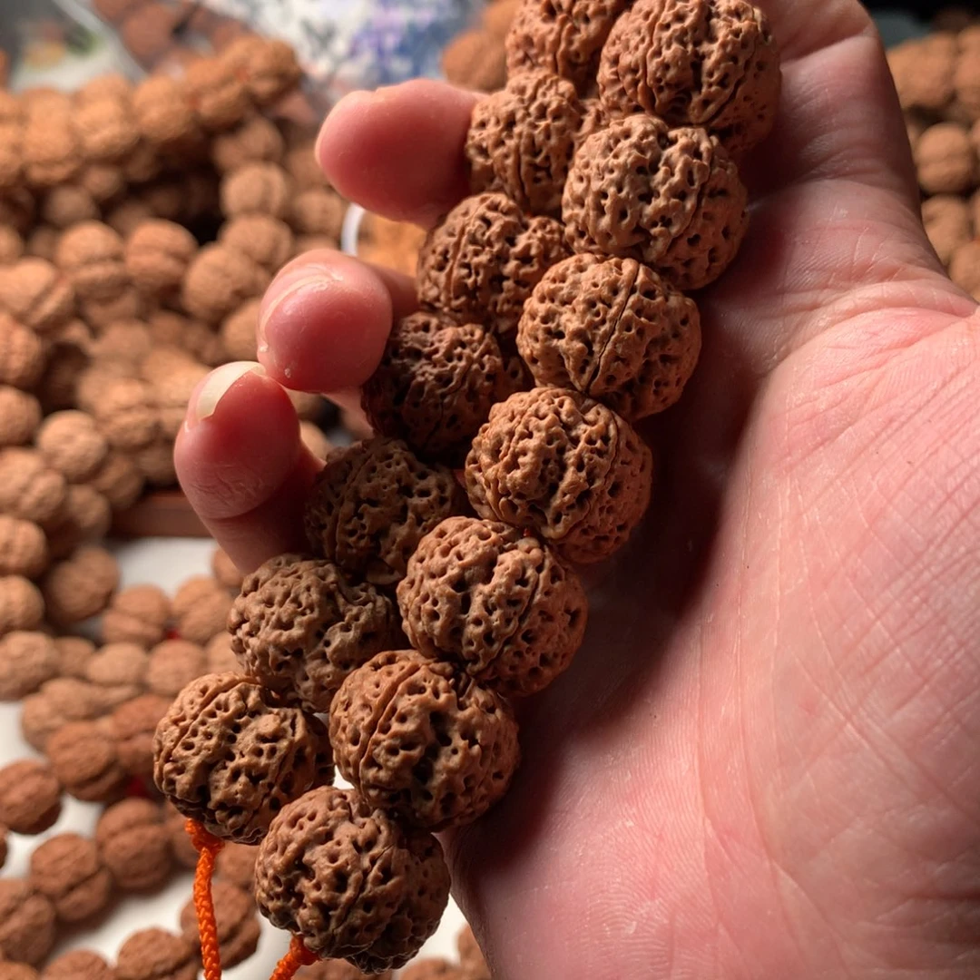 金刚菩提手串22龙牙超头单独一棵树