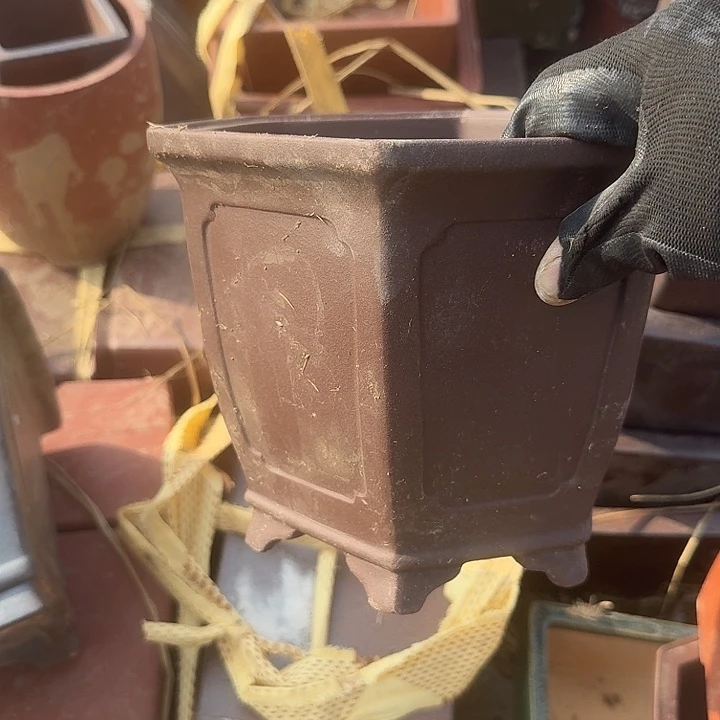 今***缘紫砂花等珍贵药材等十数部