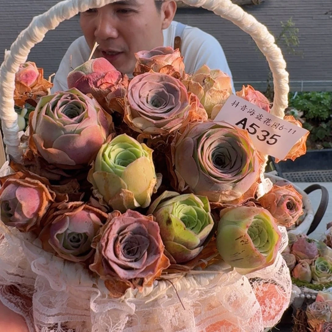 ?**月A535 蕾丝花篮玫瑰组合