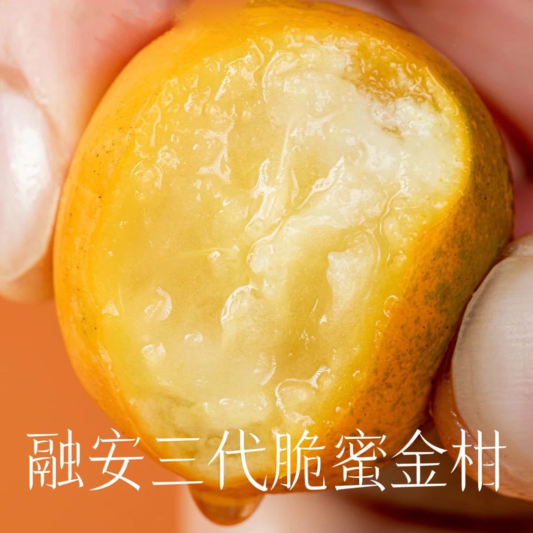 【蜜甜脆嫩化渣】融安脆蜜金柑三代金桔皮薄多汁独立包装不催熟顺丰