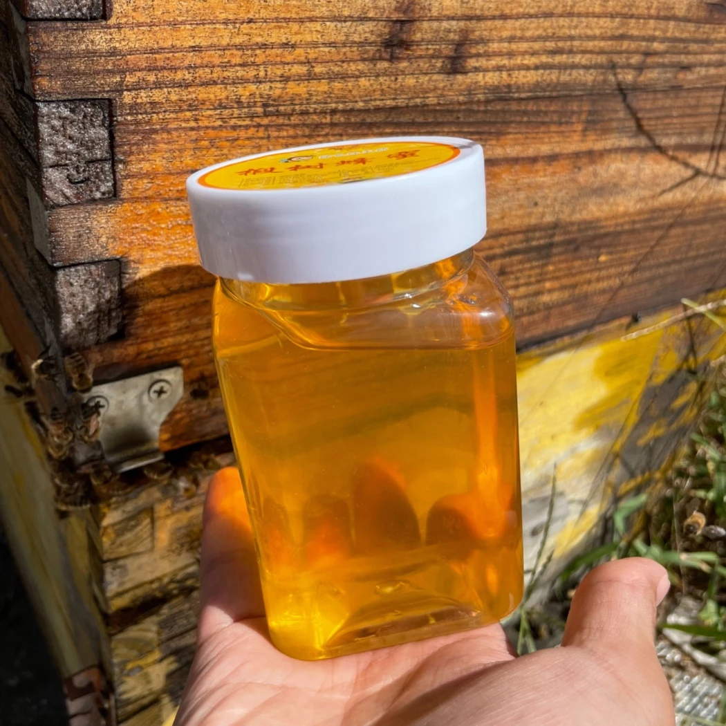 【主播推荐】椴树蜂蜜3瓶