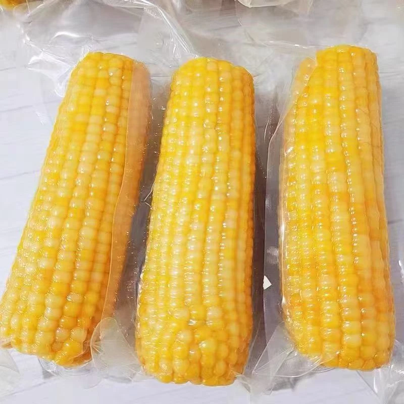 粘糯玉米10根装