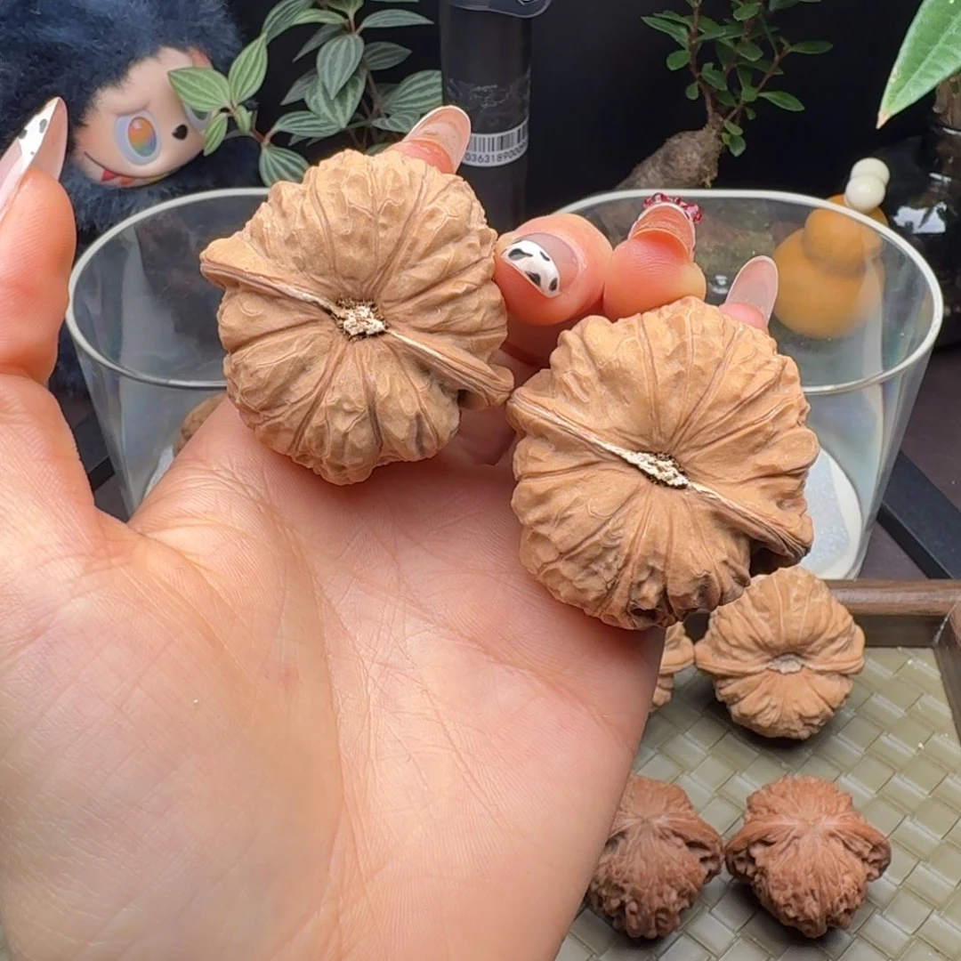 龙脊菩提把件全品南瓜45