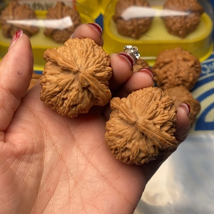 吊坠桃核白狮子41全品