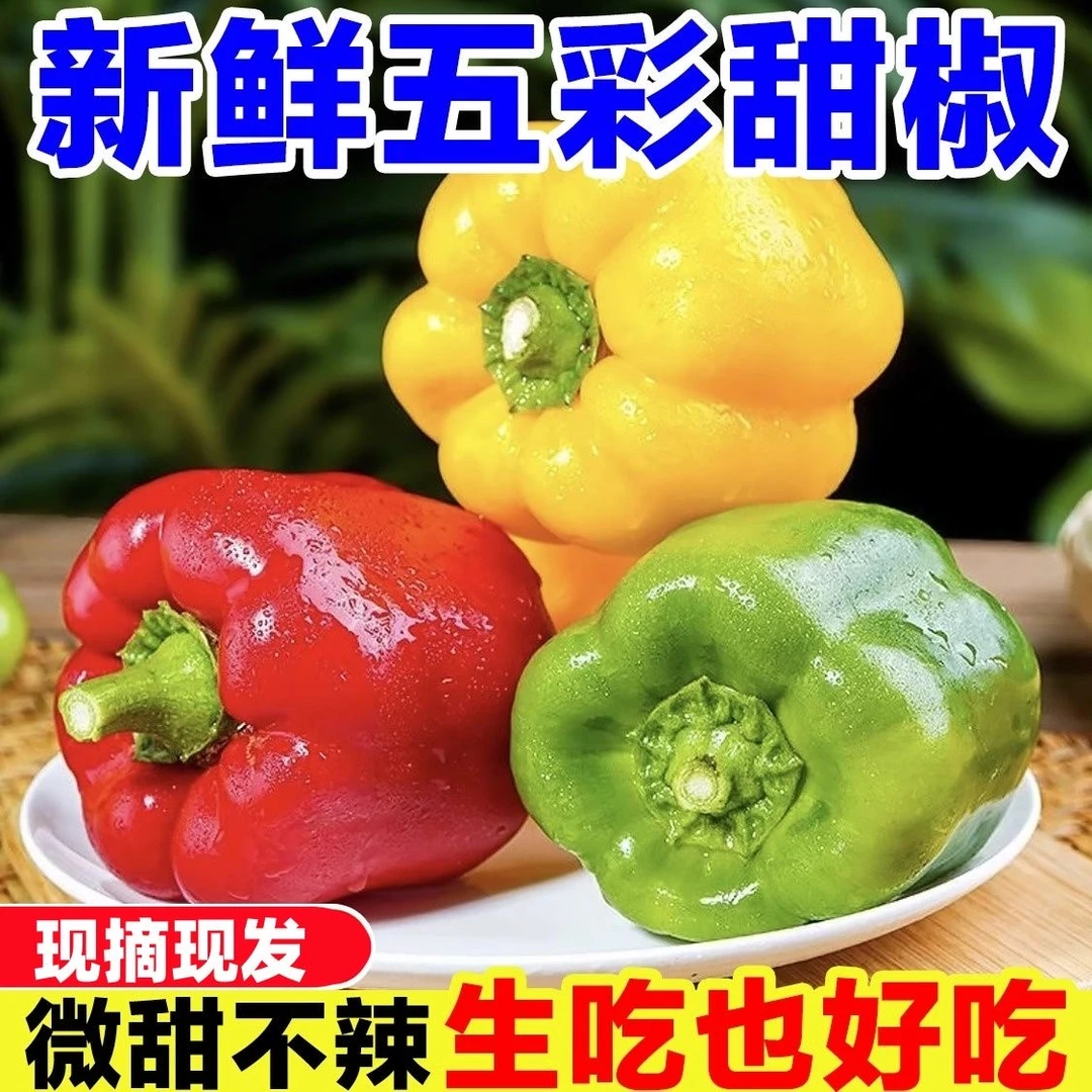 新鲜彩椒生吃甜椒圆椒五彩椒柿子椒红椒黄椒水果椒太空椒绿椒辣椒