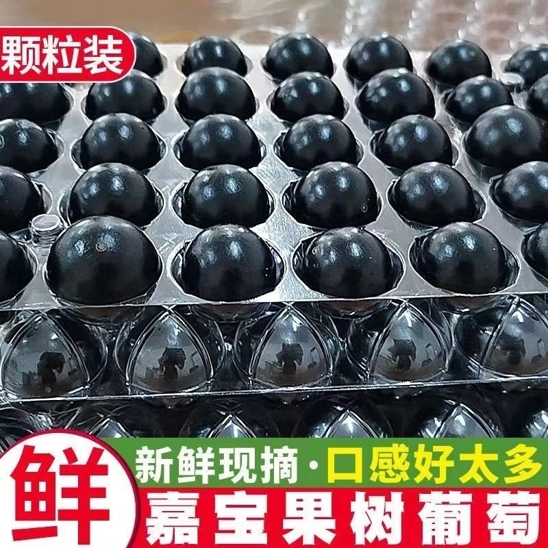 【顺丰包邮】嘉宝果新鲜应季酸甜爽口稀有热带孕妇水果新鲜饱满爆汁