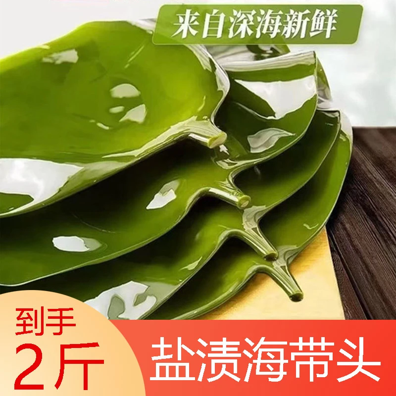 【拍1发2斤】盐渍海带头 霞浦特产火锅食材水产干货厚海带500克/袋商品图