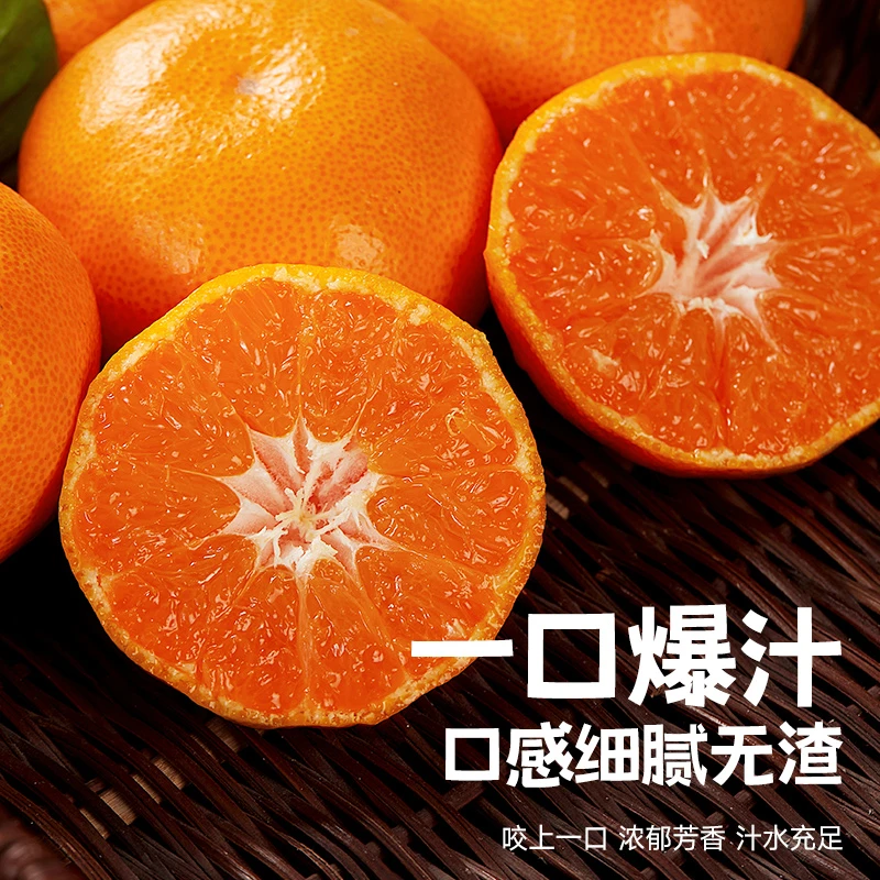 正宗涌泉蜜桔临海桔子10斤整箱新鲜水果橘子浙江省浙江省浙江省