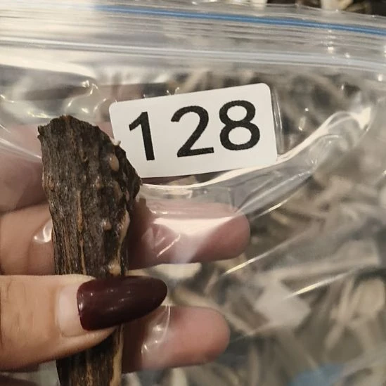 义***鹿角鹿角鹿角鹿角鹿鹿角鹿