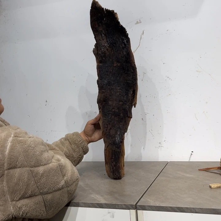 富***修柏木（崖柏）崖柏等自然景区的生态环境保护工作