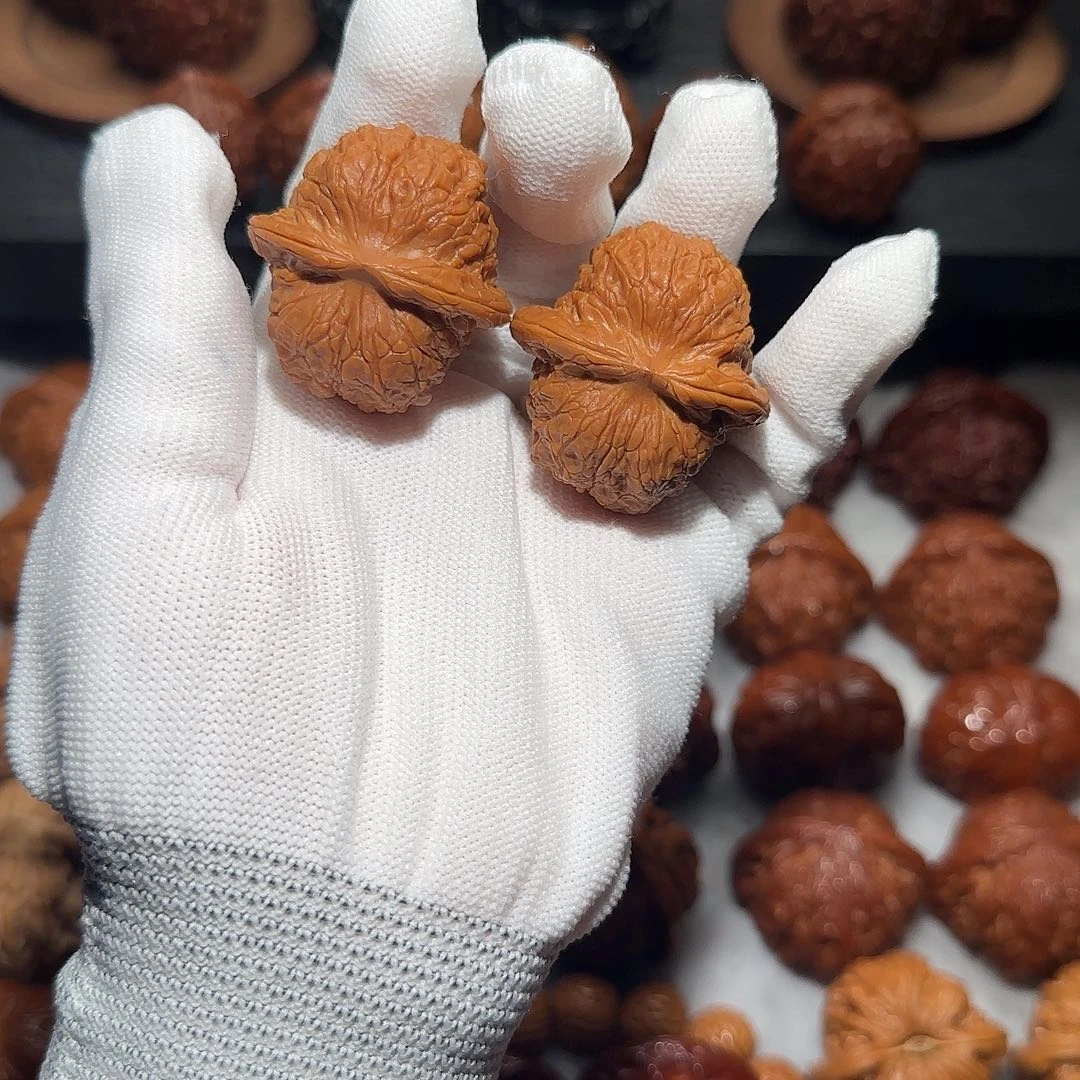 小冉核桃全品血麒麟35