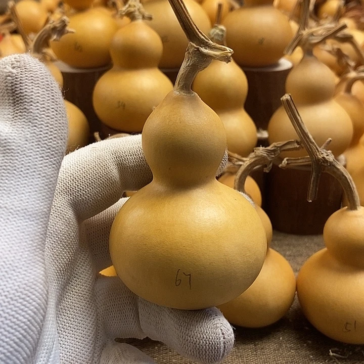 文玩葫芦 完美主义者 慎拍67