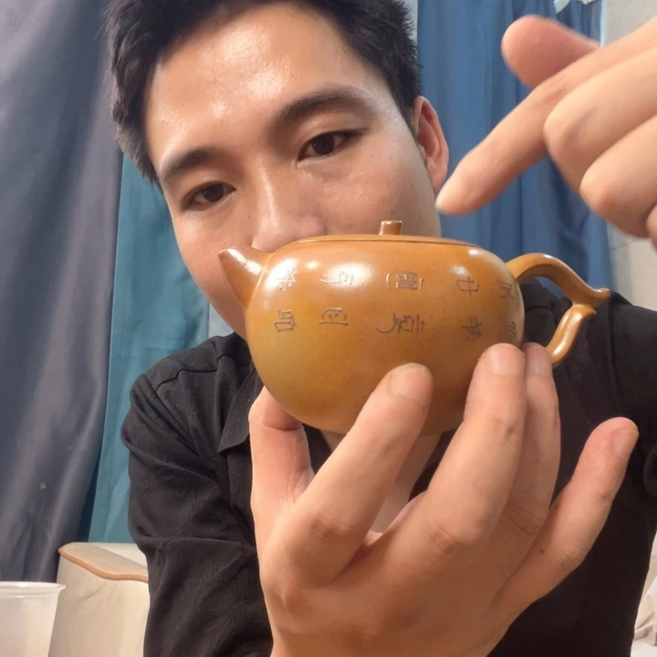 茶壶紫砂处理一把