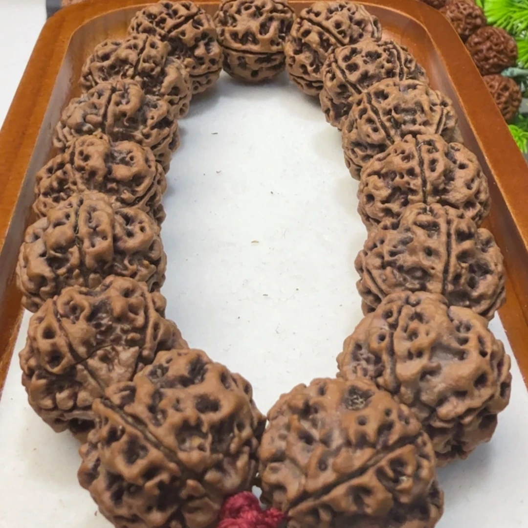 金刚菩提吊坠粗筋蜂窝双龙老古龙