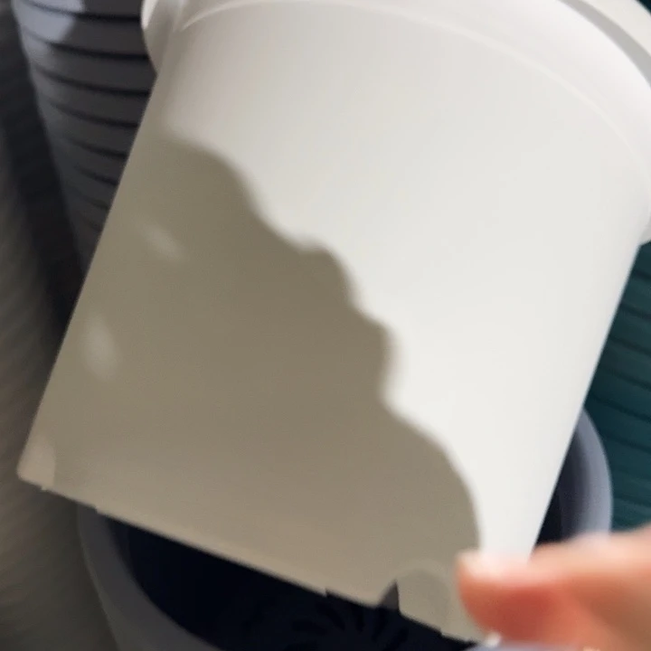 四季5号纯白无托10个特价微瑕