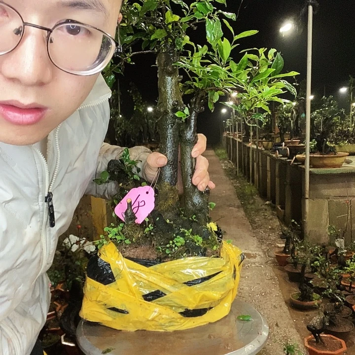 一***前无花朵国际环境工程方法