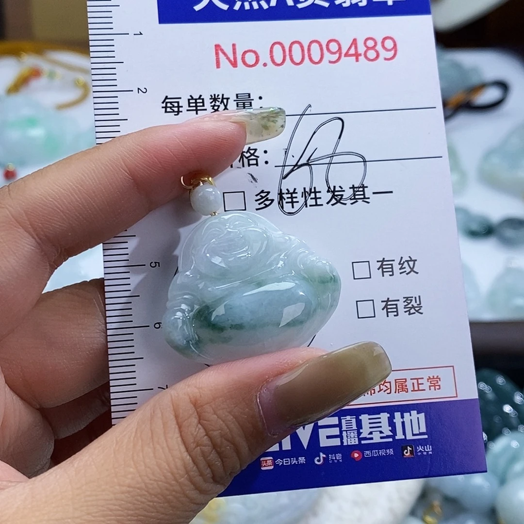 翡翠未镶嵌颈饰9489