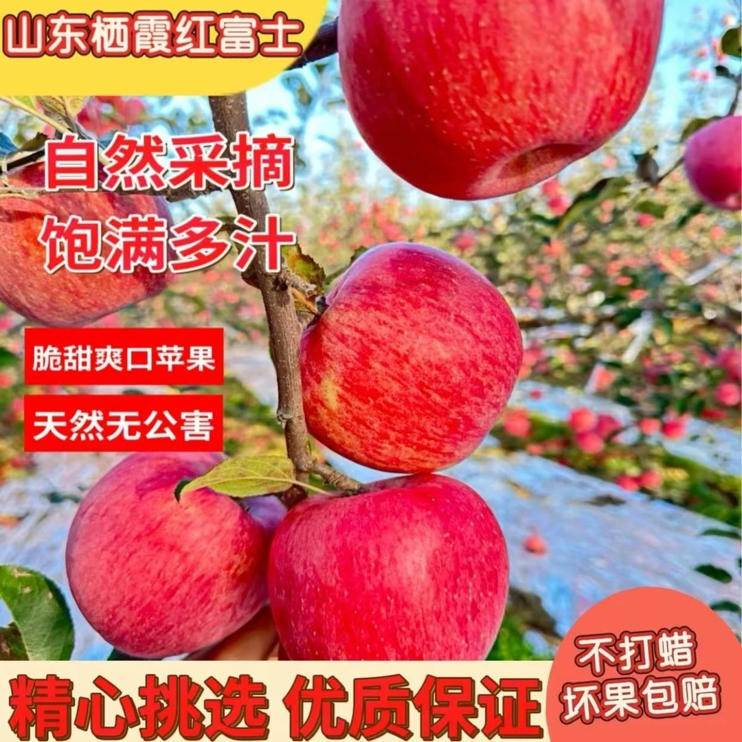 烟台栖霞红富士苹果产地直发自然果香脆甜多汁
