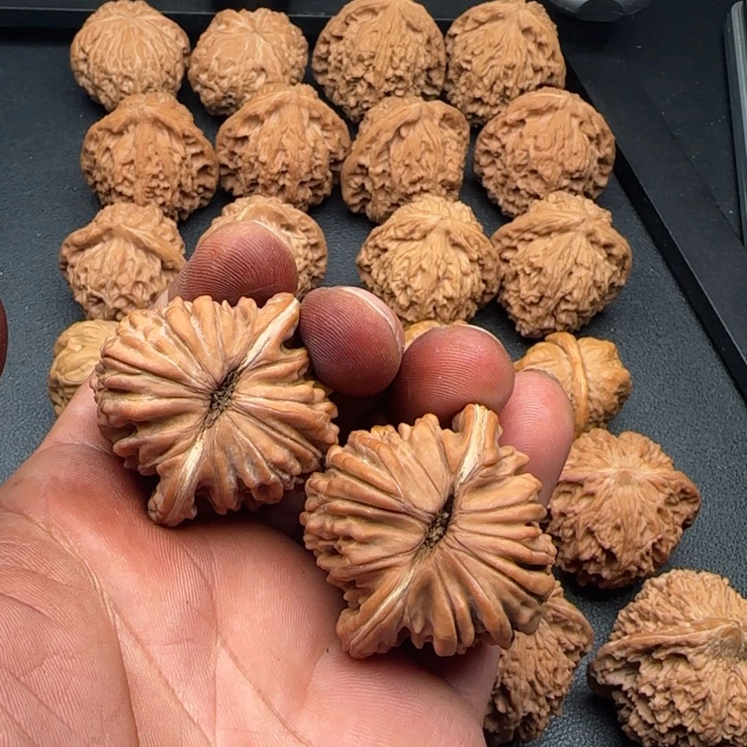 无***东42尺全品无修四座楼