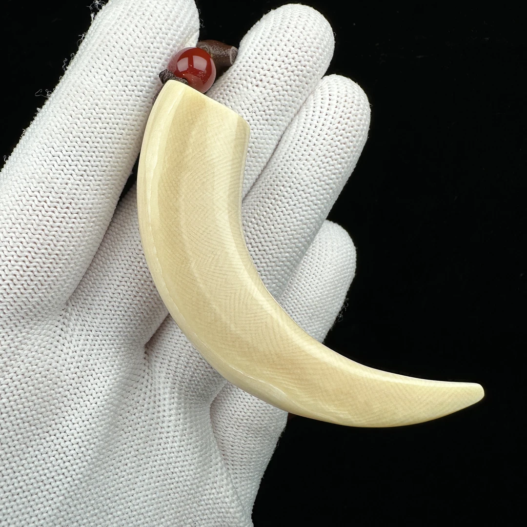 L2601天然猛犸牙 牙尖71mm支持鉴定 假一罚四